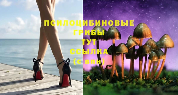 стафф Богданович